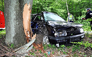 Drzewa przy drogach częstą przyczyną tragedii